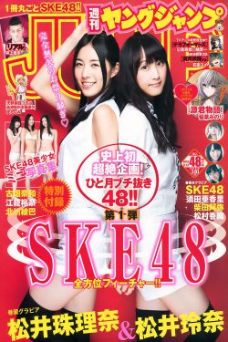 功勋在线观看免费完整版